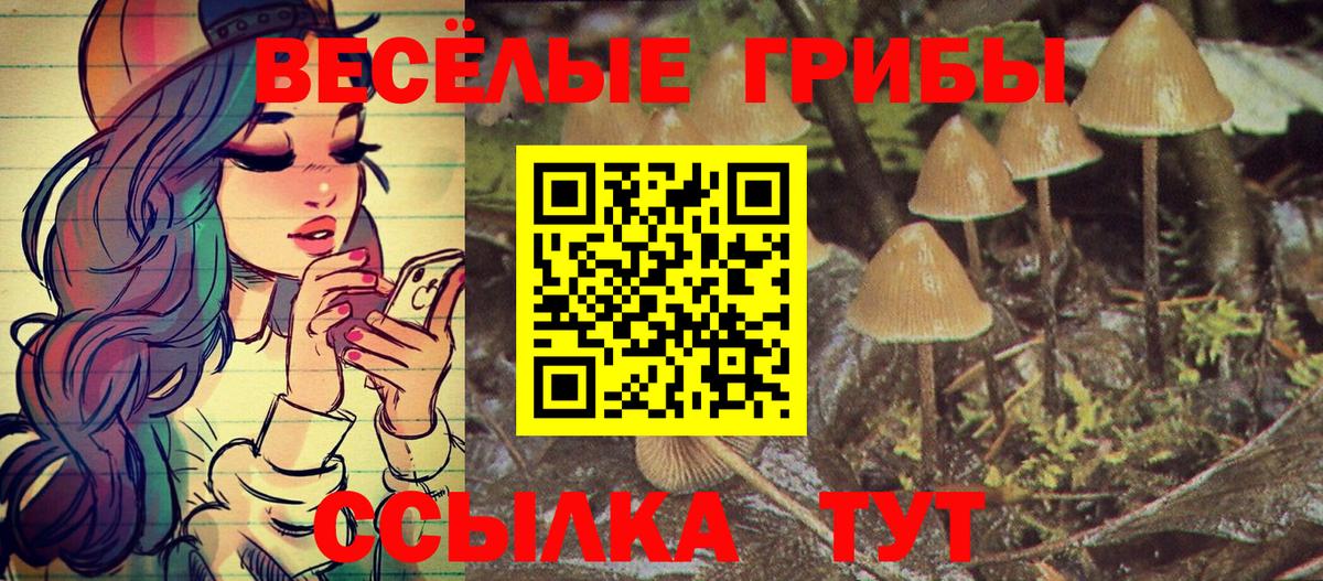 Псилоцибиновые грибы Psilocybe  Галлюциногенные грибы Cubensis  Вход с VPN  где продают наркотики  Азнакаево 