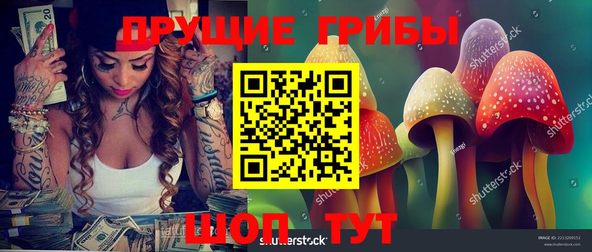 Галлюциногенные грибы Psilocybine cubensis Азнакаево